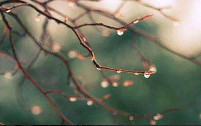 【昆仑山下】 细雨霏霏祭英烈